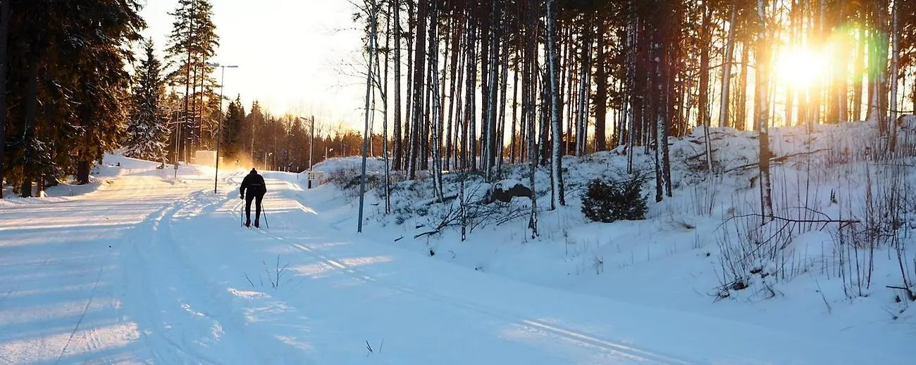 En morgontidig skidåkare lyses upp av solskenet i den vita vinterskogen. 