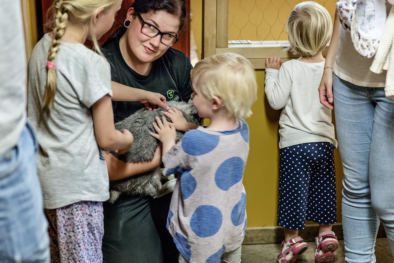 Två barn klappar en grå kanin tillsammans med en djurskötare.
