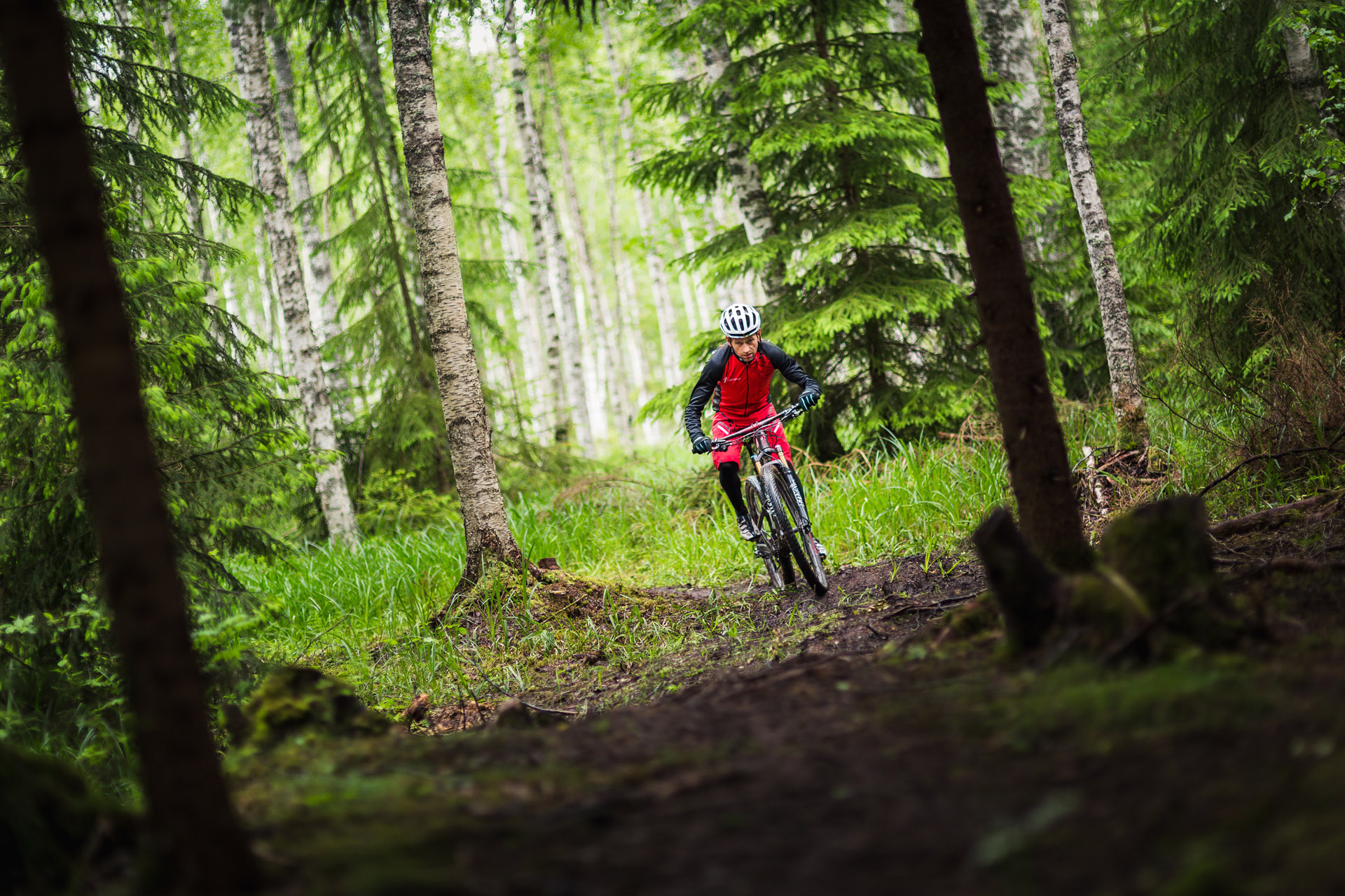 En cyklist närmar sig på en smal skogsstig