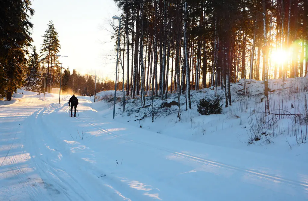 En morgontidig skidåkare lyses upp av solskenet i den vita vinterskogen. 