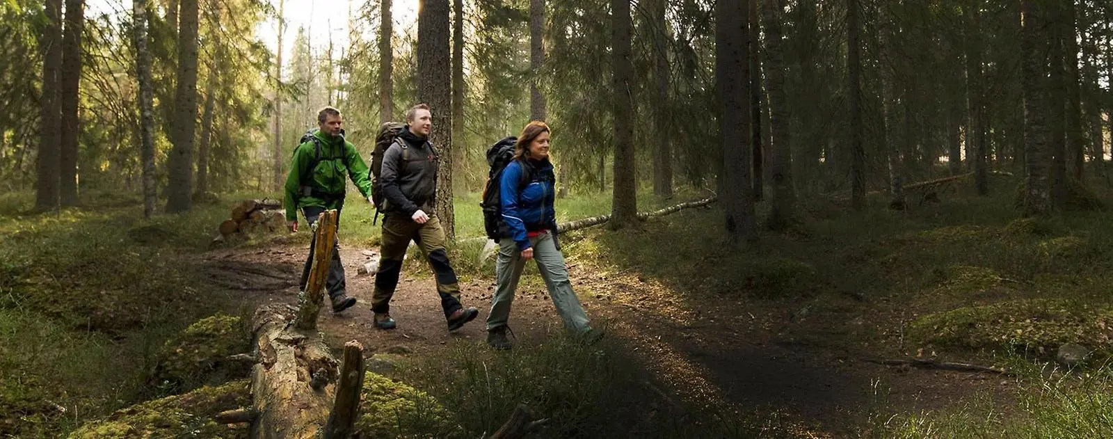 Tre personer med ryggsäck går längs en stig i skogen. 