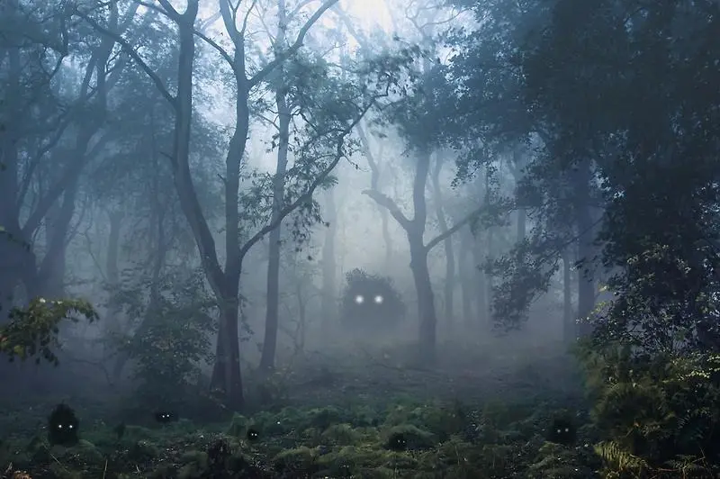 Mystisk skog med små mystiska varelser vars ögon lyser.