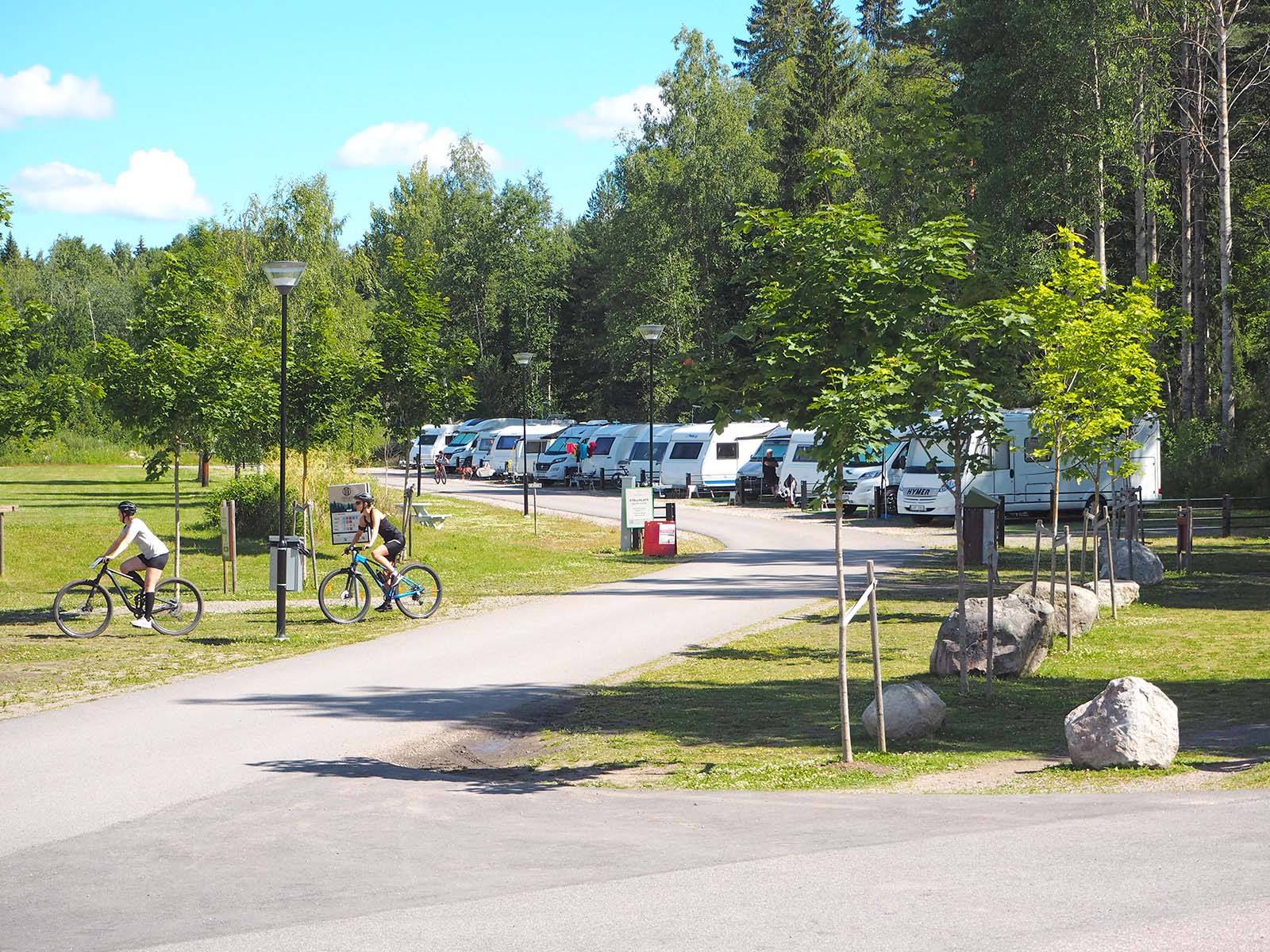 Cyklister och semesterfirare rör sig runt en rad uppställda husbilar vid ett skogsbryn.
