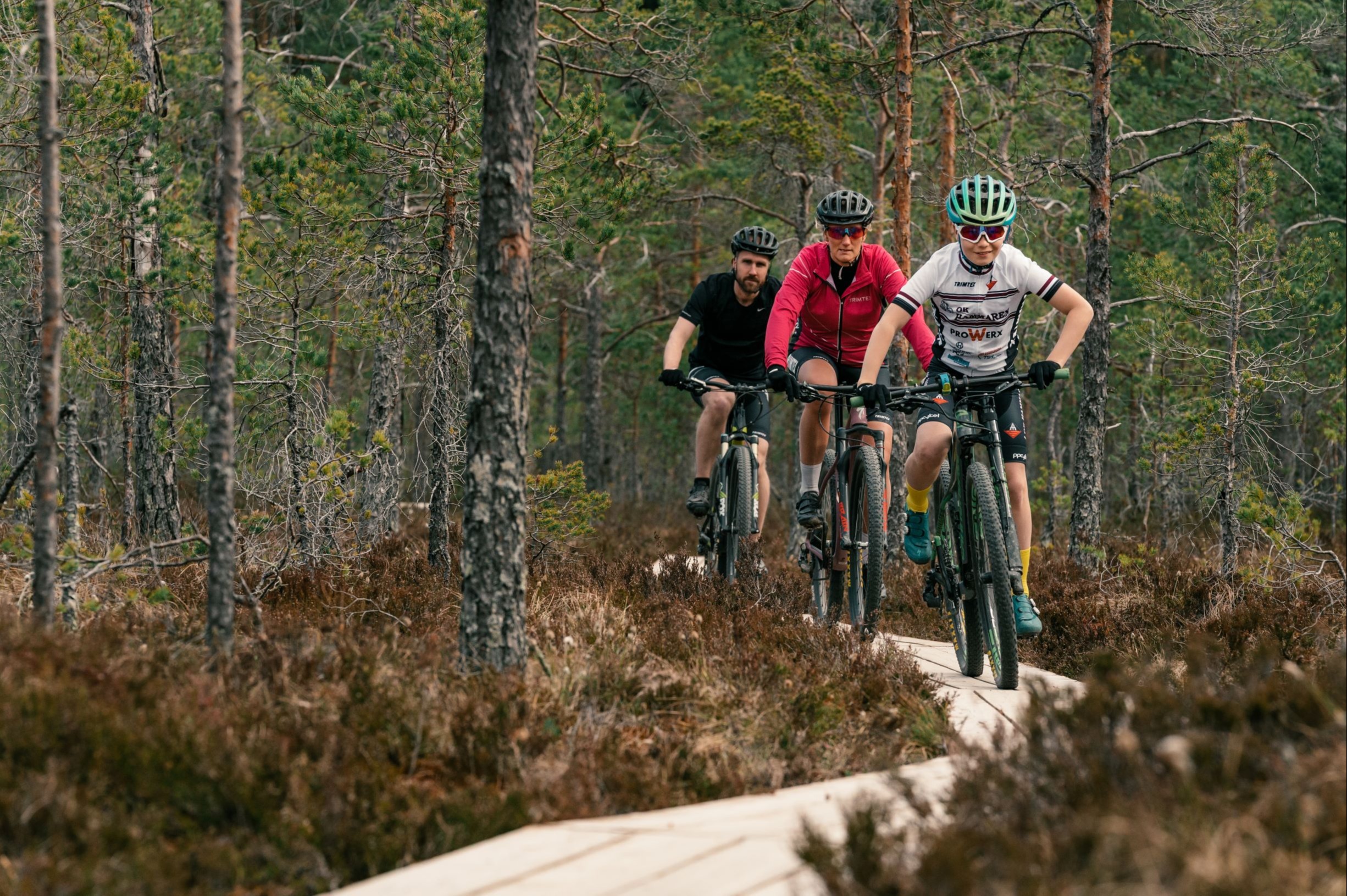 Tre mountainbikeåkare kör på en smal spång i skogen